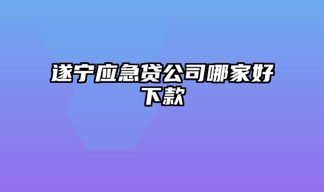 遂宁应急贷公司哪家好下款