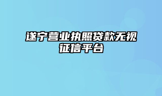 遂宁营业执照贷款无视征信平台