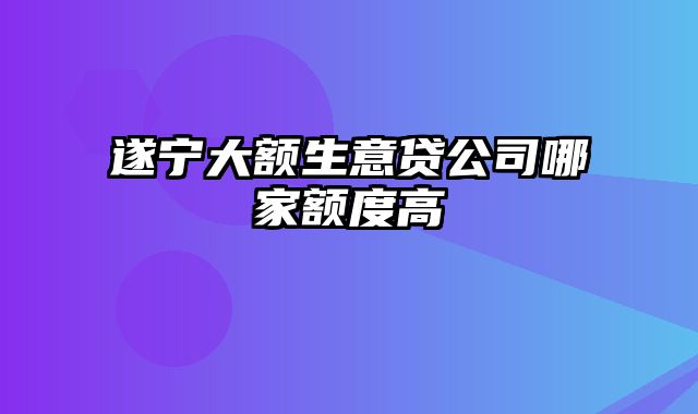 遂宁大额生意贷公司哪家额度高