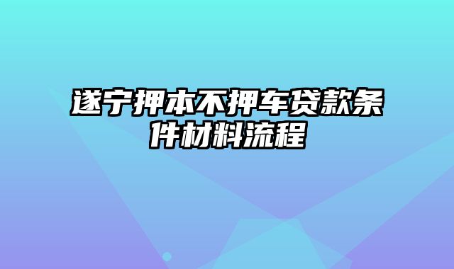 遂宁押本不押车贷款条件材料流程