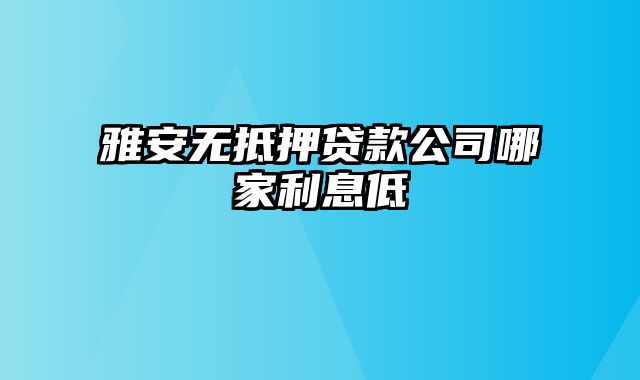 雅安无抵押贷款公司哪家利息低