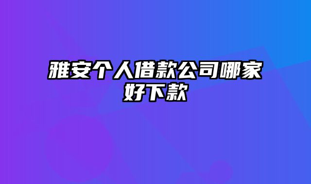 雅安个人借款公司哪家好下款