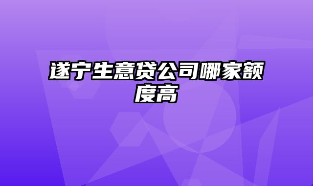 遂宁生意贷公司哪家额度高