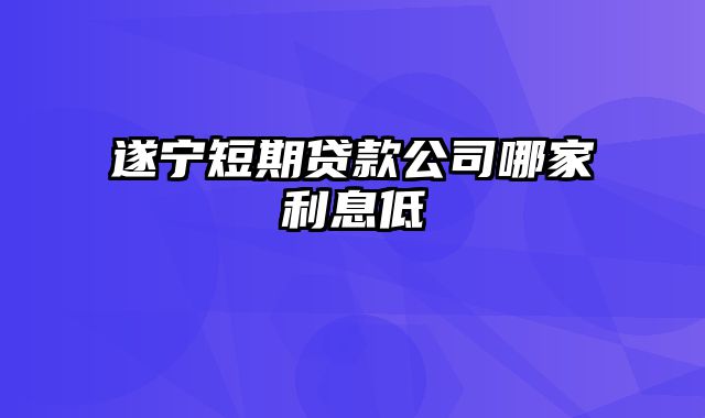 遂宁短期贷款公司哪家利息低