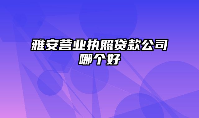 雅安营业执照贷款公司哪个好