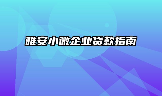 雅安小微企业贷款指南