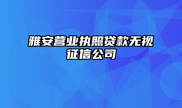 雅安营业执照贷款无视征信公司