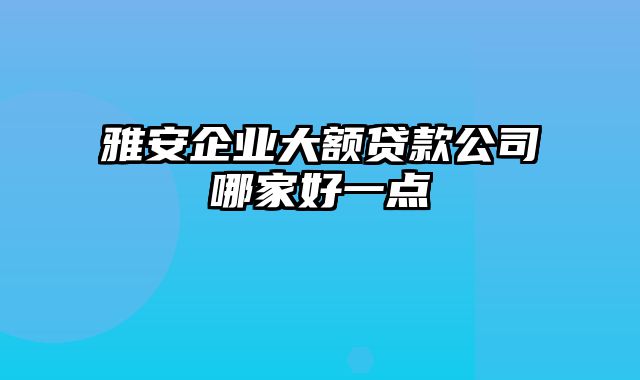 雅安企业大额贷款公司哪家好一点