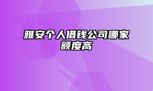 雅安个人借钱公司哪家额度高