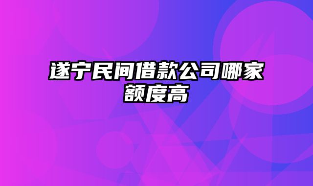 遂宁民间借款公司哪家额度高