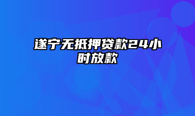 遂宁无抵押贷款24小时放款