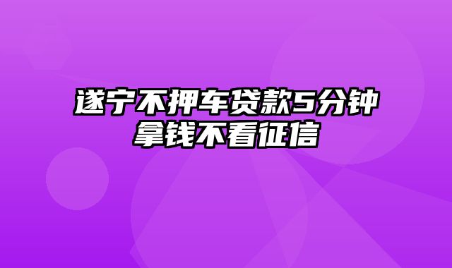 遂宁不押车贷款5分钟拿钱不看征信