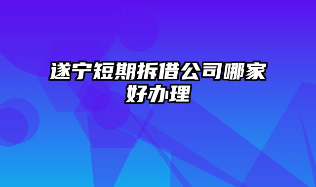 遂宁短期拆借公司哪家好办理