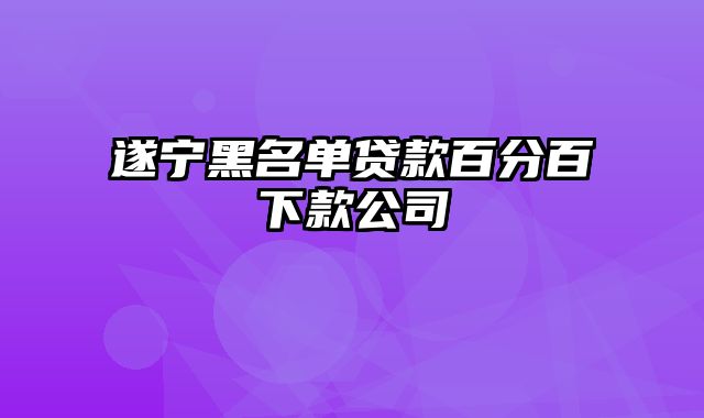 遂宁黑名单贷款百分百下款公司