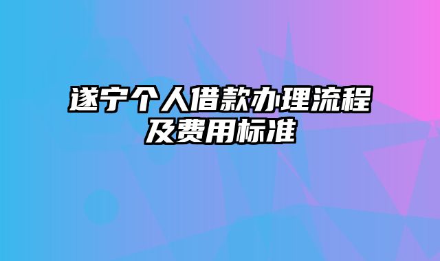 遂宁个人借款办理流程及费用标准