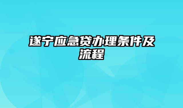 遂宁应急贷办理条件及流程