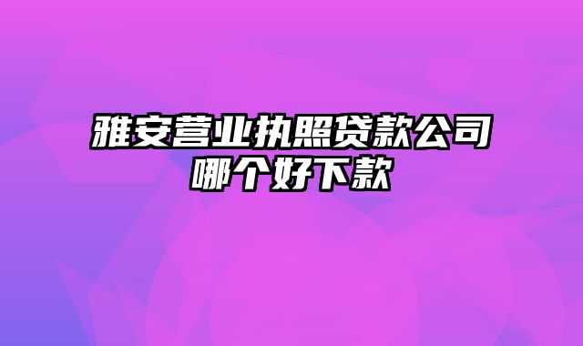 雅安营业执照贷款公司哪个好下款