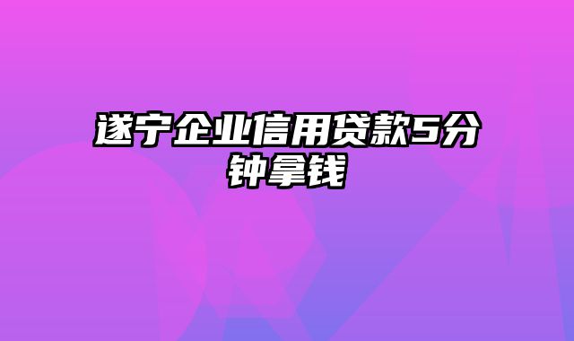 遂宁企业信用贷款5分钟拿钱