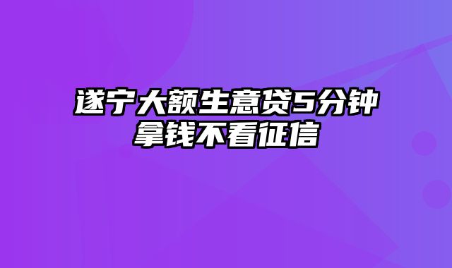 遂宁大额生意贷5分钟拿钱不看征信