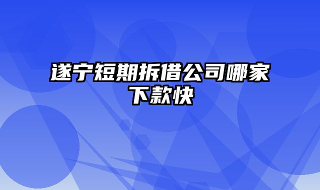 遂宁短期拆借公司哪家下款快