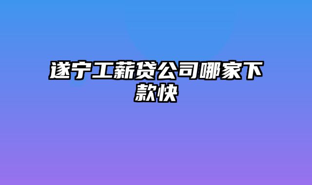 遂宁工薪贷公司哪家下款快