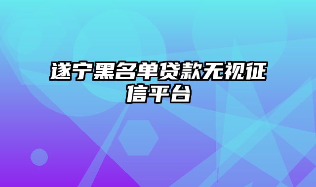 遂宁黑名单贷款无视征信平台