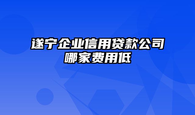 遂宁企业信用贷款公司哪家费用低