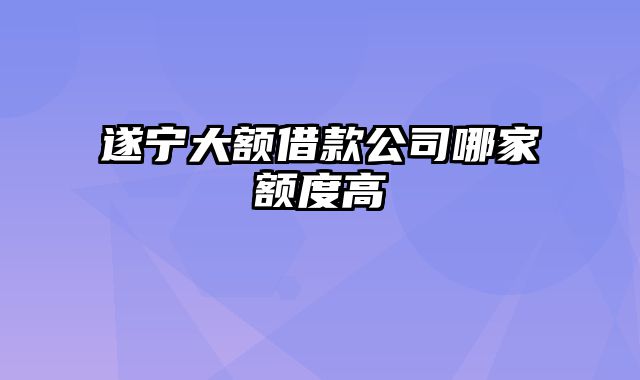 遂宁大额借款公司哪家额度高