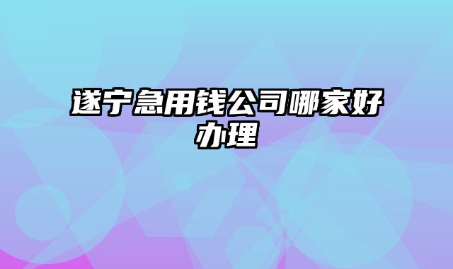 遂宁急用钱公司哪家好办理