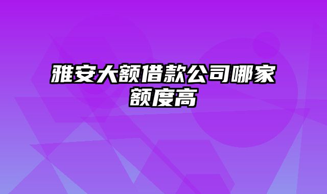 雅安大额借款公司哪家额度高