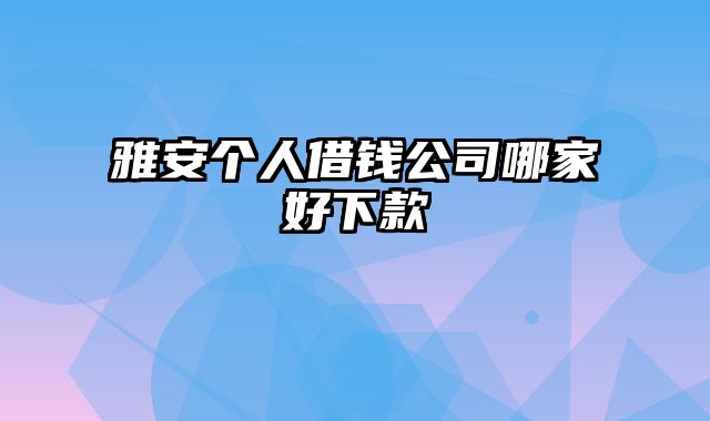 雅安个人借钱公司哪家好下款