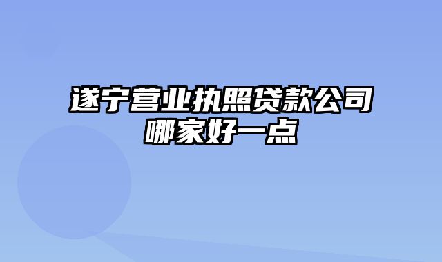 遂宁营业执照贷款公司哪家好一点