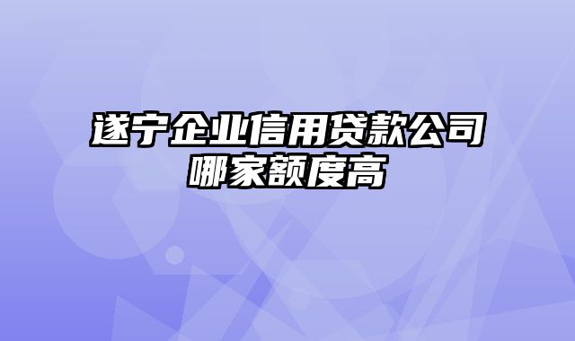 遂宁企业信用贷款公司哪家额度高