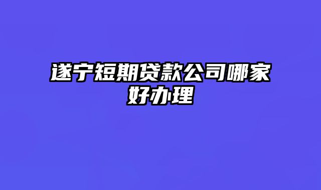 遂宁短期贷款公司哪家好办理