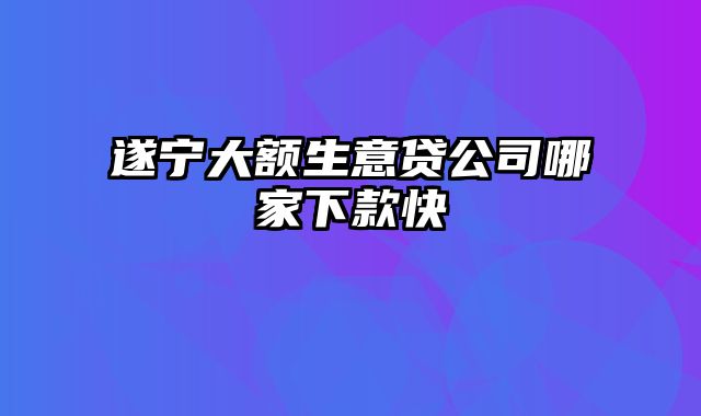 遂宁大额生意贷公司哪家下款快