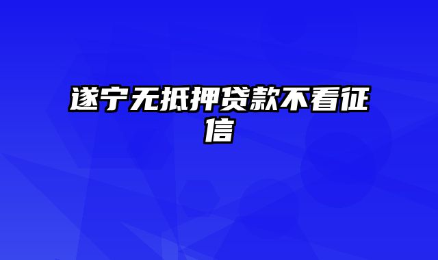 遂宁无抵押贷款不看征信