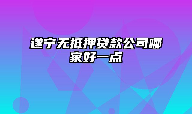 遂宁无抵押贷款公司哪家好一点