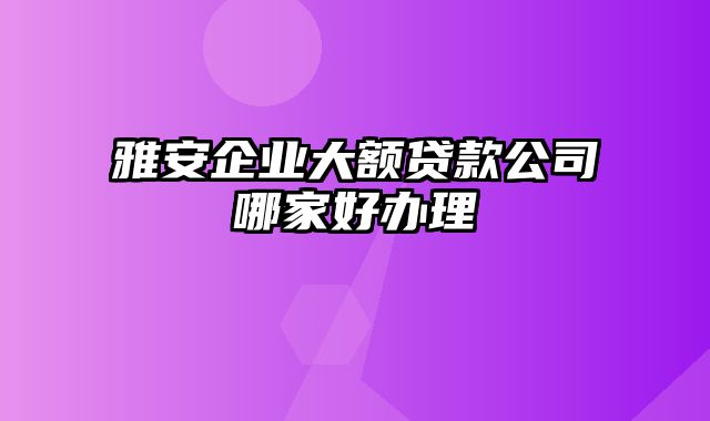 雅安企业大额贷款公司哪家好办理