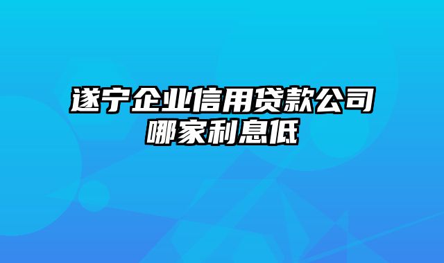 遂宁企业信用贷款公司哪家利息低