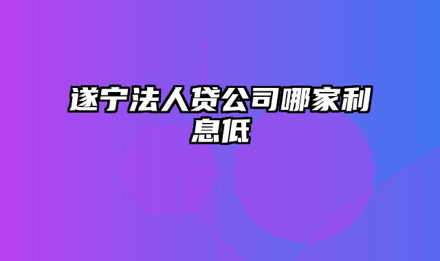 遂宁法人贷公司哪家利息低