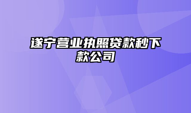 遂宁营业执照贷款秒下款公司