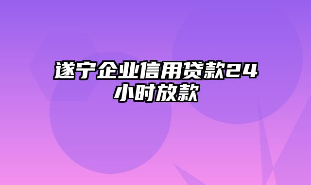 遂宁企业信用贷款24小时放款