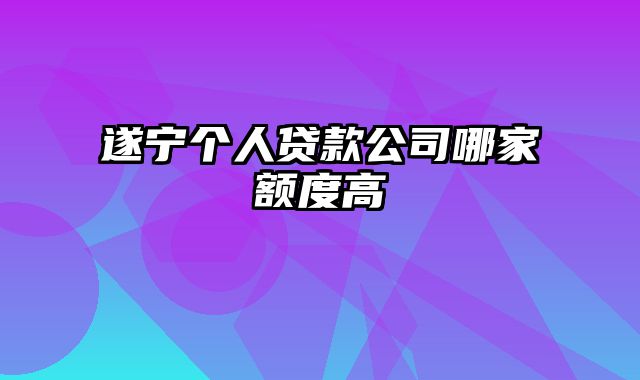 遂宁个人贷款公司哪家额度高