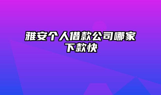 雅安个人借款公司哪家下款快