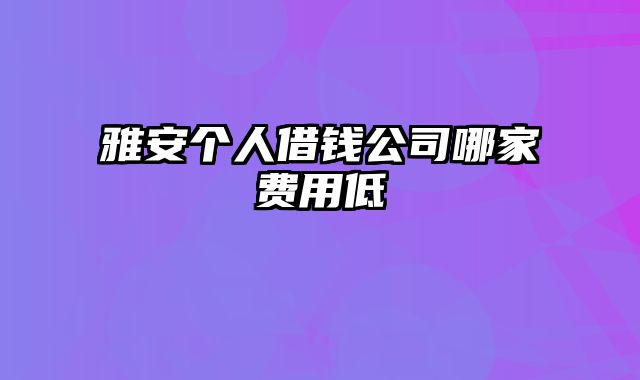 雅安个人借钱公司哪家费用低