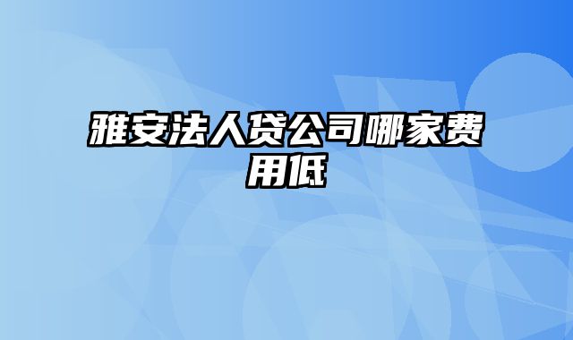 雅安法人贷公司哪家费用低