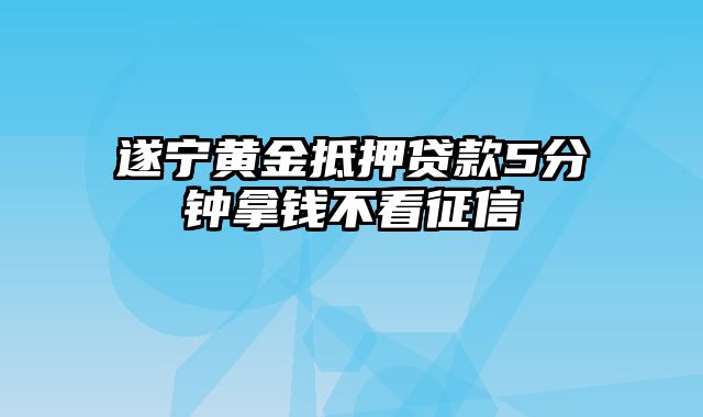 遂宁黄金抵押贷款5分钟拿钱不看征信