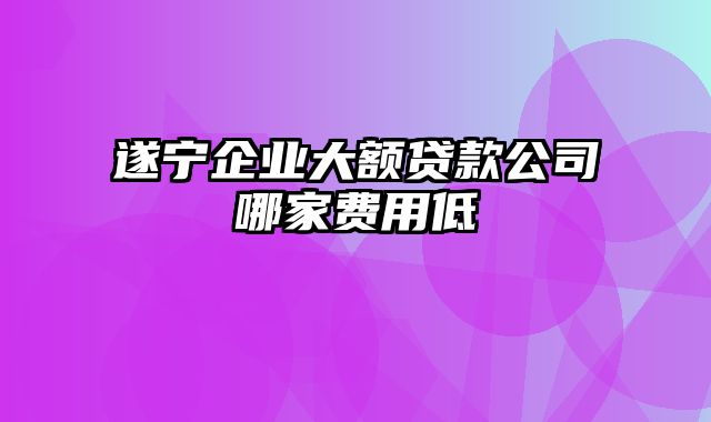 遂宁企业大额贷款公司哪家费用低