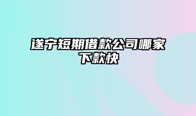 遂宁短期借款公司哪家下款快