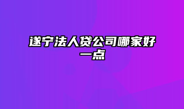 遂宁法人贷公司哪家好一点